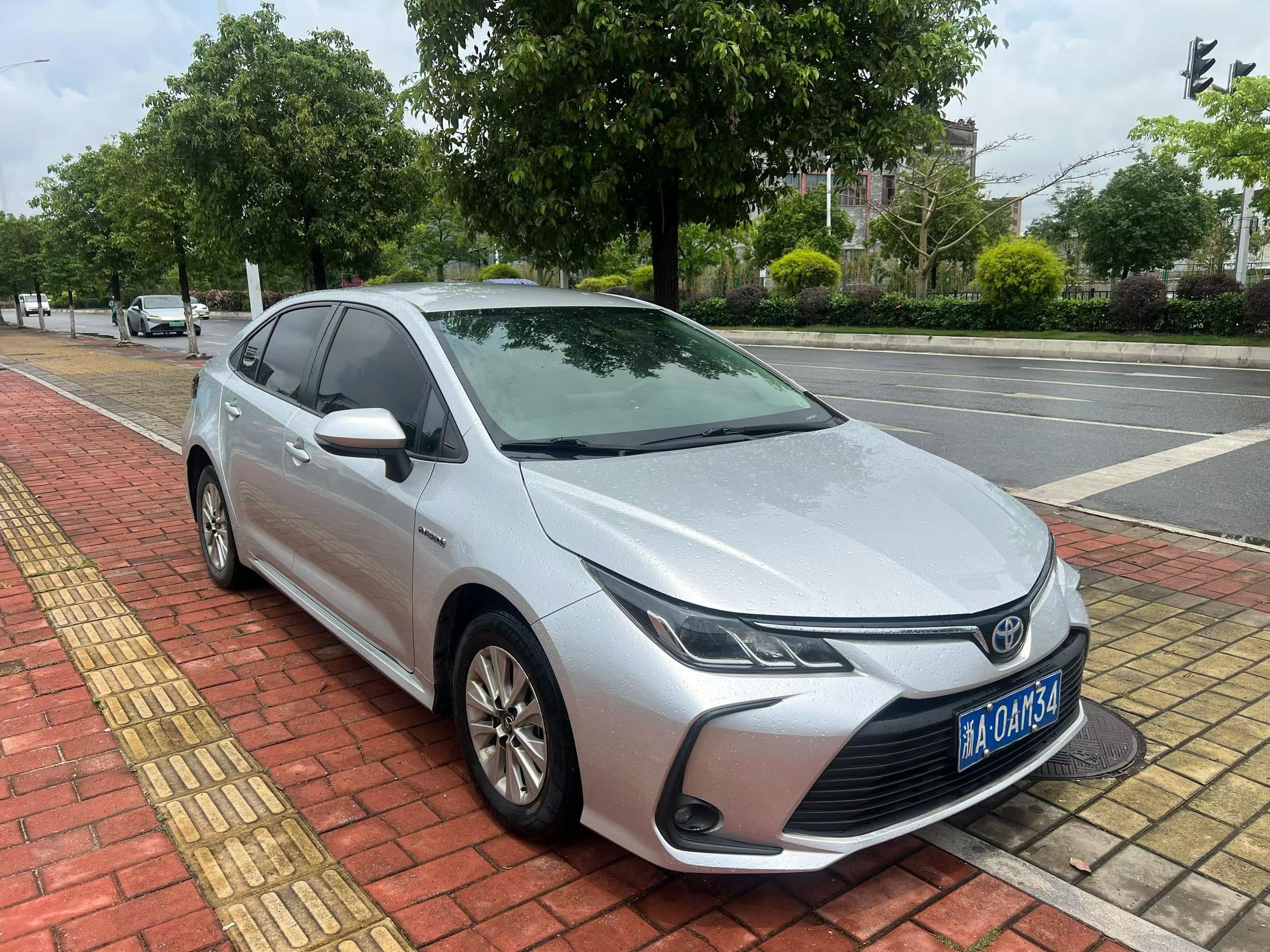 🚗 Toyota Corolla Hybrid 202
