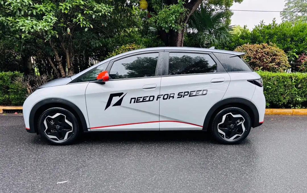 BYD Dolphin 2023 — EV 420KM (100,000 km)