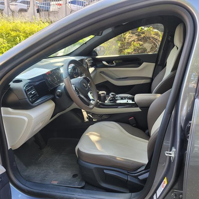 BYD Qin Plus DM-i 2024 — Glory 55KM Leading