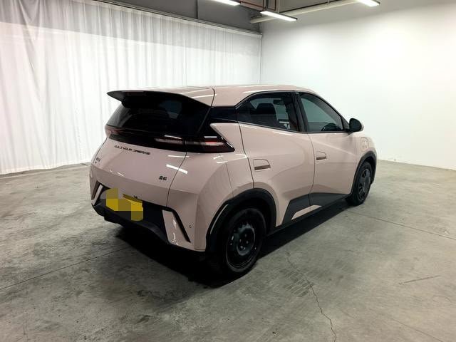BYD Seagull 2023 — EV 305KM (47,000 km)