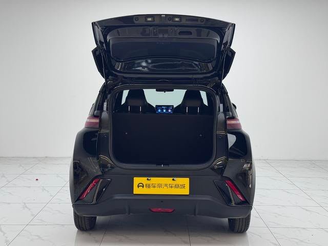 BYD Seagull 2025 — EV 305KM Vitality