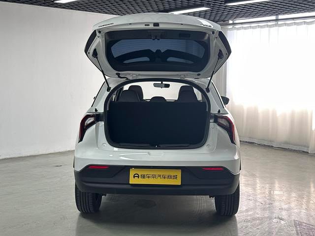 Geely Geometry E Firefly 2024 — EV 301KM