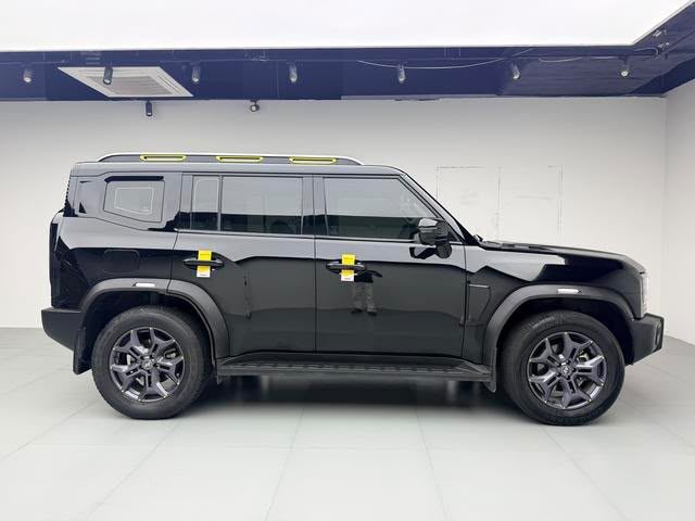 Jetour Traveller T2 C-DM 2024 — Wild
