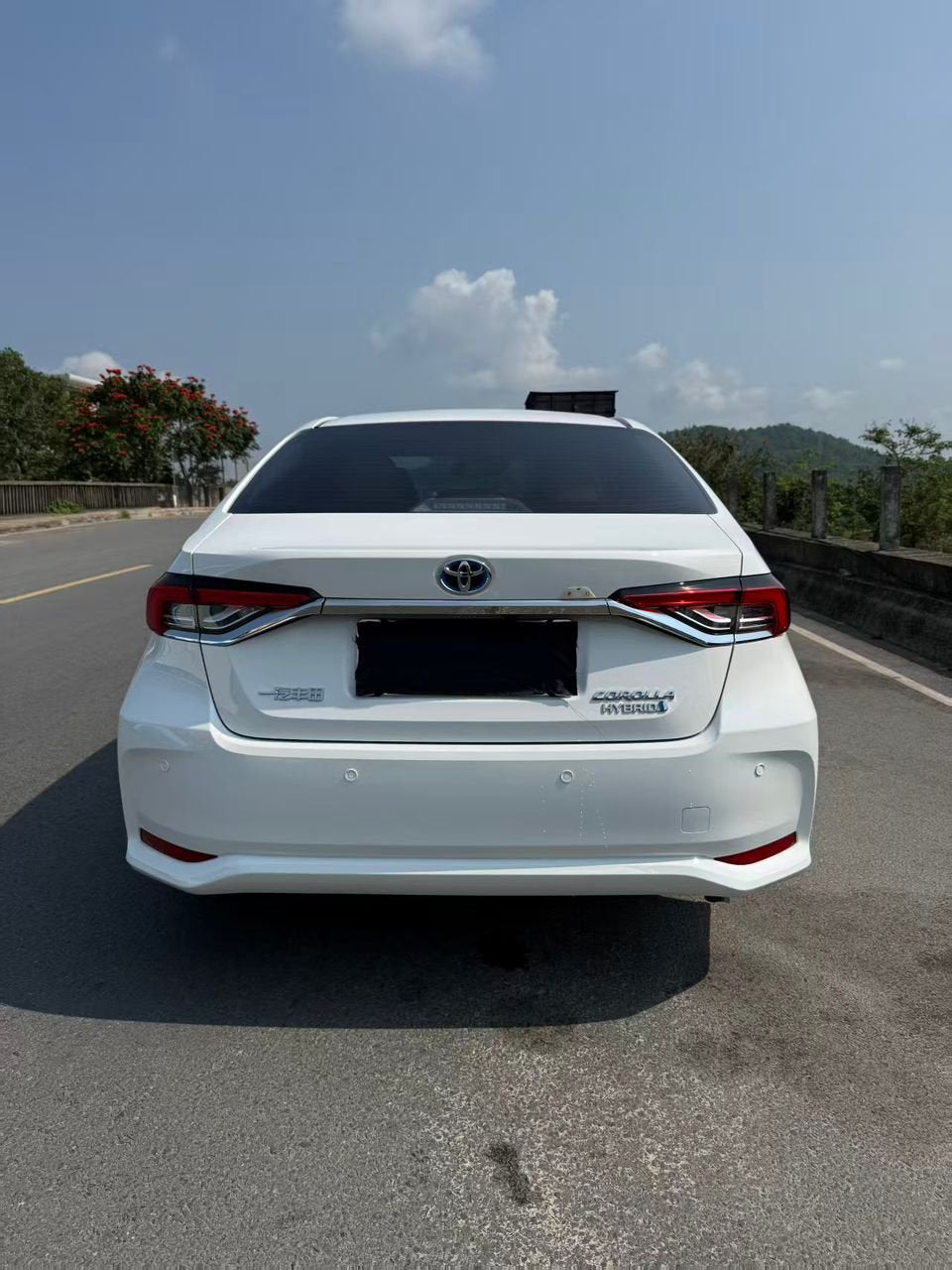 Toyota Corolla Hybrid 2024 — 11,000 km