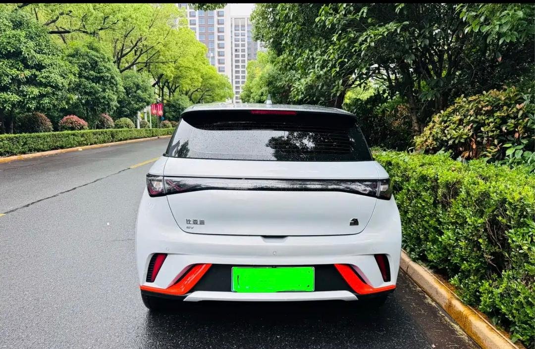 BYD Dolphin 2023 — EV 420KM (100,000 km)