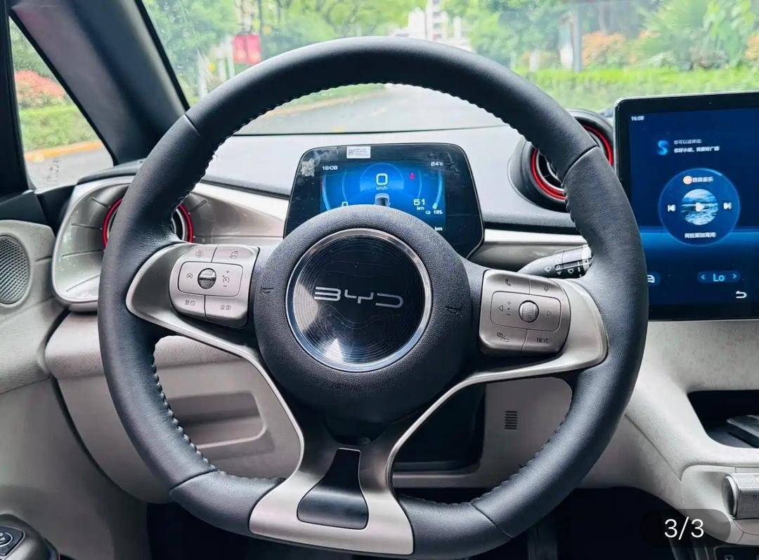 BYD Dolphin 2023 — EV 420KM (100,000 km)