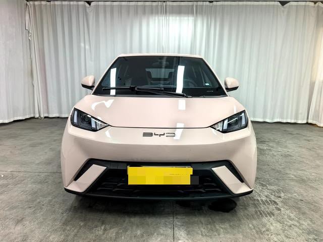 BYD Seagull 2023 — EV 305KM (47,000 km)