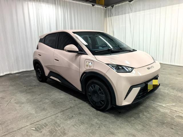 BYD Seagull 2023 — EV 305KM (47,000 km)