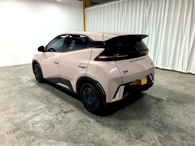BYD Seagull 2023 — EV 305KM (47,000 km)