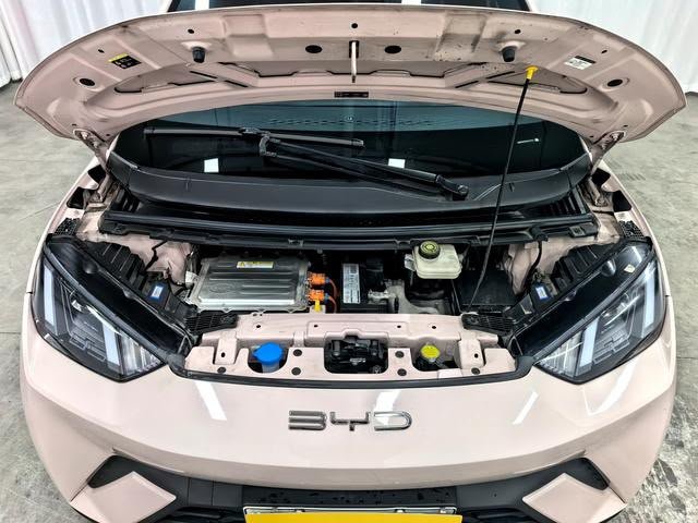 BYD Seagull 2023 — EV 305KM (47,000 km)