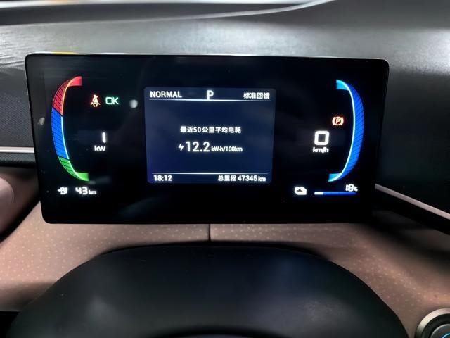 BYD Seagull 2023 — EV 305KM (47,000 km)