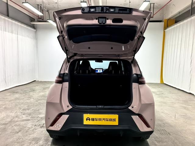 BYD Seagull 2023 — EV 305KM (47,000 km)