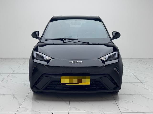 BYD Seagull 2025 — EV 305KM Vitality
