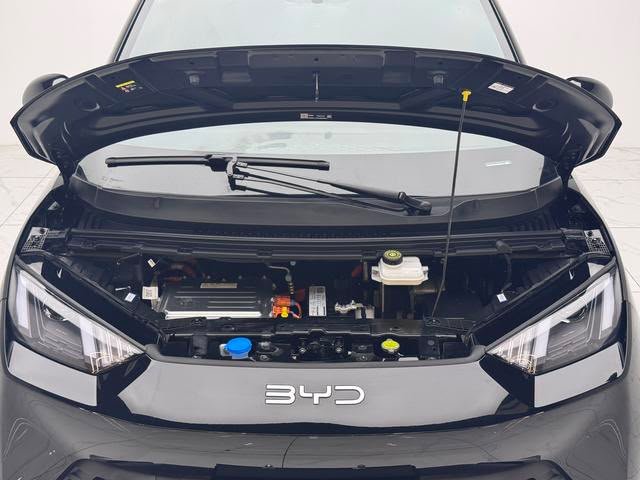 BYD Seagull 2025 — EV 305KM Vitality