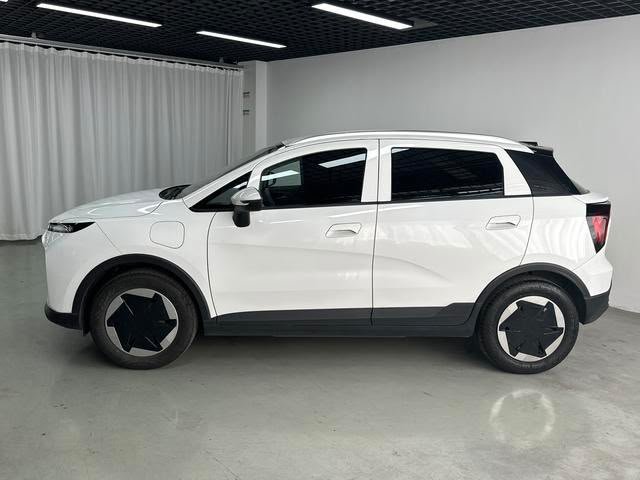 Geely Geometry E Firefly 2024 — EV 301KM